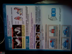 守護安全，從細節開始 4S店豐田印刷品中的安全帶與氣囊安全指南